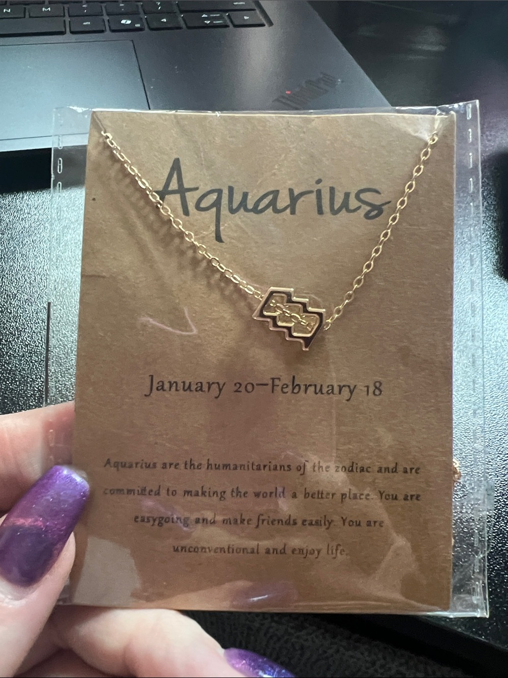 Aquarius Zodiac Necklace - Gold Tone